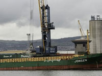 Jonsen Detail image 1